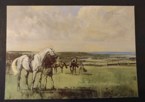 Horse racing postcard peter - racing,