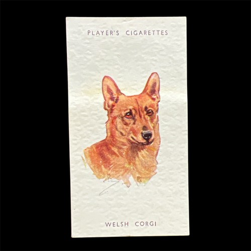 John player cigarette card - john,