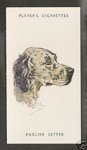 1940 peter biegel dog - peter,