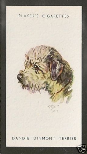 Rare 1940 peter - rare, dog