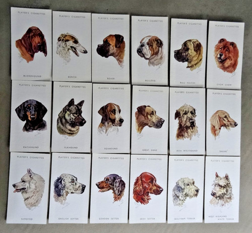 Dogs heads peter biegel - ,