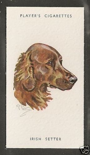 1940 peter biegel dog - dog, art