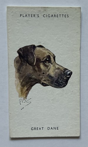 Player dogs heads great - heads,