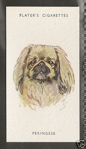 1940 peter biegel dog art - biegel,