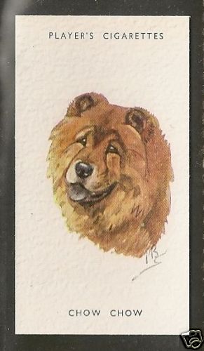 Rare 1940 peter - 1940, biegel