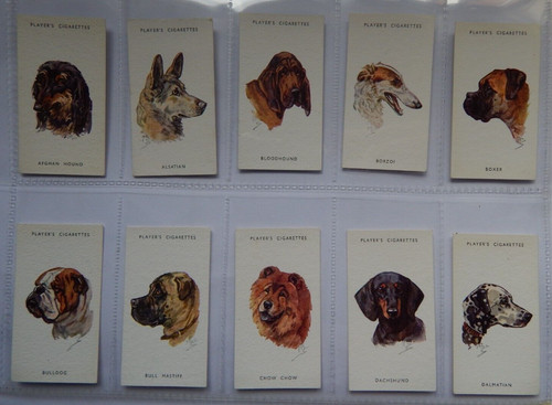 Dogs heads peter - dogs,
