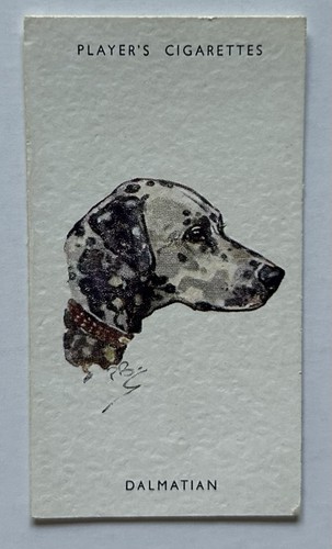 Player dogs heads - player’s, dogs’