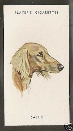 1940 peter biegel dog - uk,