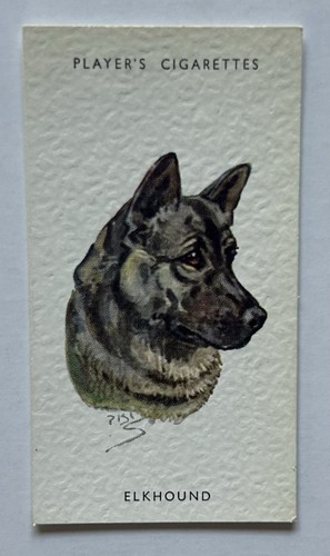 Player dogs heads - player’s, dogs’