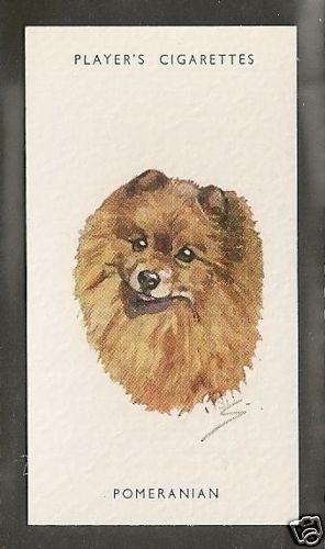 1940 peter biegel - 1940, art